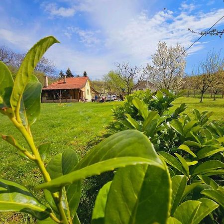 Fruska House Villa Besenovacki Prnjavor Eksteriør bilde