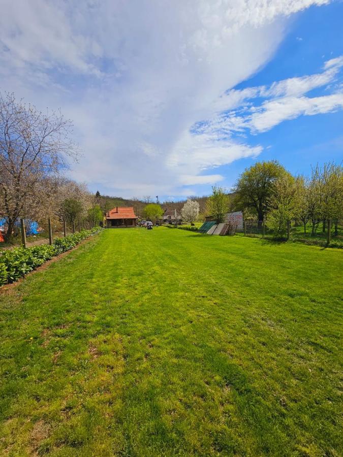 Fruska House Villa Besenovacki Prnjavor Eksteriør bilde