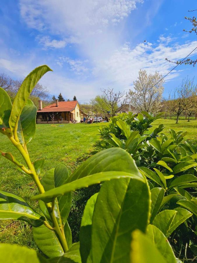 Fruska House Villa Besenovacki Prnjavor Eksteriør bilde