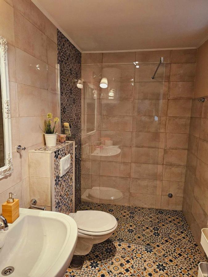 Fruska House Villa Besenovacki Prnjavor Eksteriør bilde